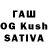 APVP VHQ Hasmik Ghumashyan