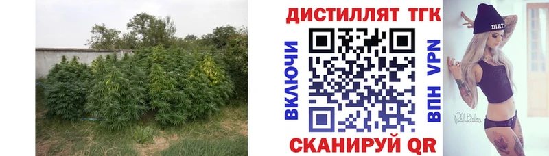 Дистиллят ТГК вейп  Купить где  Любань 